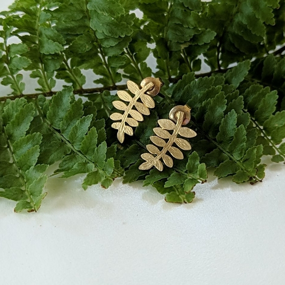 Jewelry - NWOT Gold Leaf Earrings